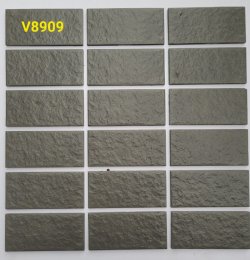 V8909