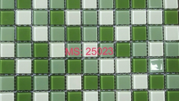 MS.25023