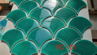 VC - 01